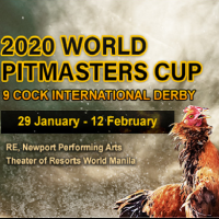 Các câu hỏi thường gặp trên SV388 16 Kinh nghiệm đá gà 6