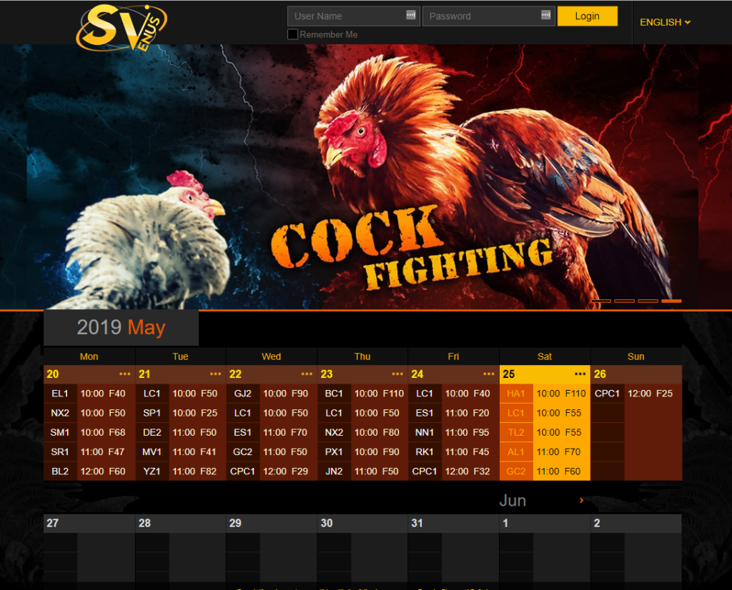 Kinh nghiệm đá gà online tại SV388 luôn thắng 1 Kinh nghiệm đá gà 1