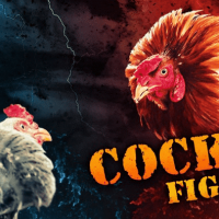 Kinh nghiệm dự đoán tỷ số 2