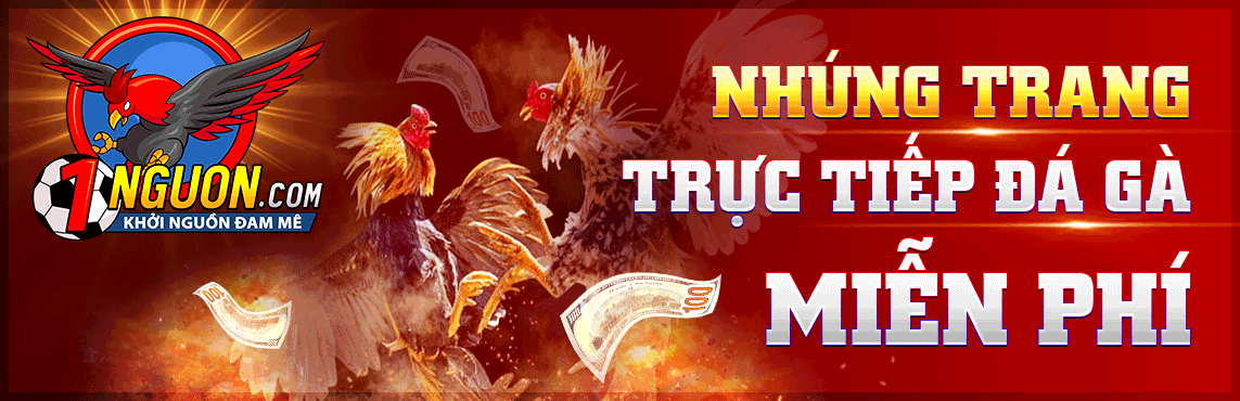 trực tiếp bóng đá đá gà 1