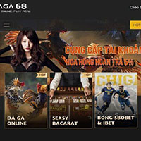 Daga68 - Alo88.bet: Địa chỉ nào uy tín, chất lượng? 5 Shbet 5