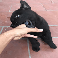 nằm mơ thấy tàu thuyền đánh con gì 3