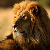 mơ thấy trúng số 6