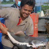 mơ thấy ăn uống 5