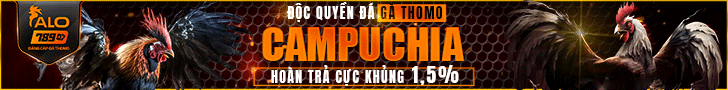 alo789 đá gà