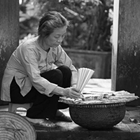 mơ thấy cá chép 2