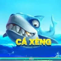 cách soi cầu baccarat 9