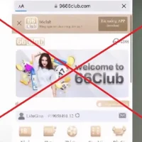 nhóm kéo đá gà 10