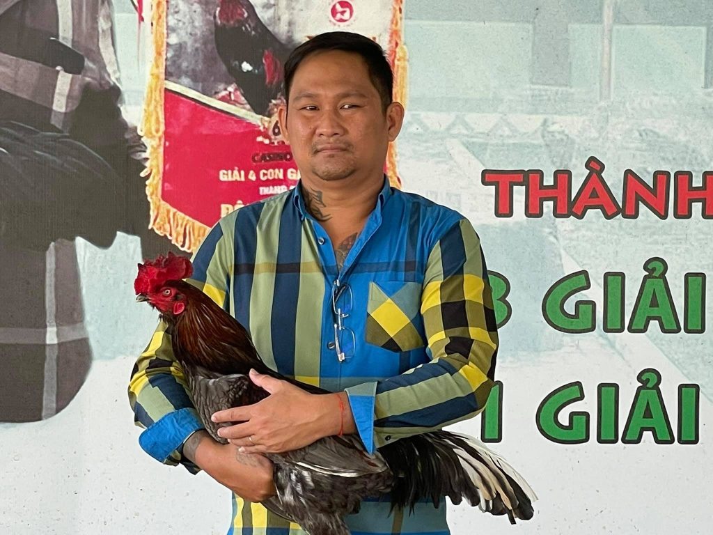 Cách Xem Màu Mạng Gà Đá Theo Ngày 2