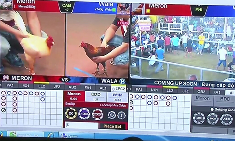 Bet365 có lừa đảo không 8