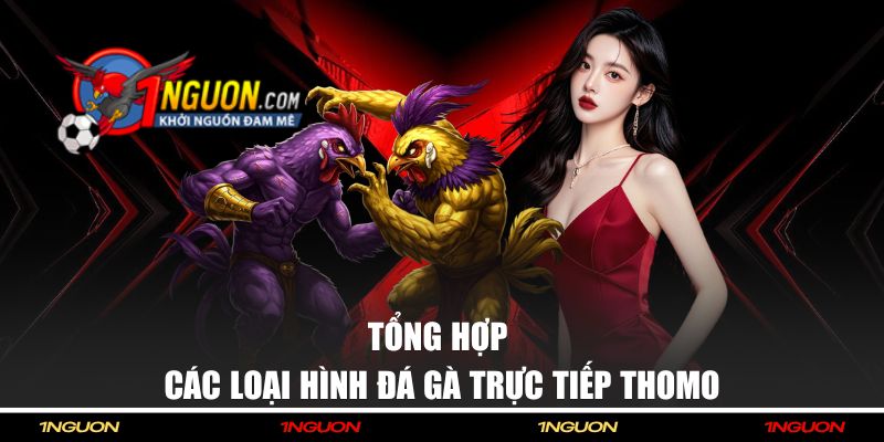 Các loại hình live đá gà Thomo tại nhà cái