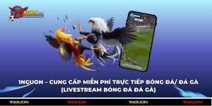 1nguon – Cung cấp miễn phí trực tiếp bóng đá/ đá gà (Livestream Bóng đá đá gà)