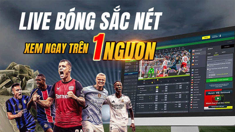 Live bóng sắc nét