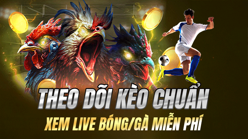 Theo Dõi Kèo Chuẩn – Xem Live Bóng/Gà Miễn Phí