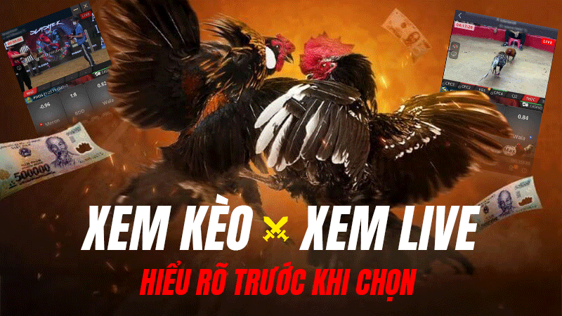 Xem Kèo – Xem Live – Hiểu Rõ Trước Khi Chọn