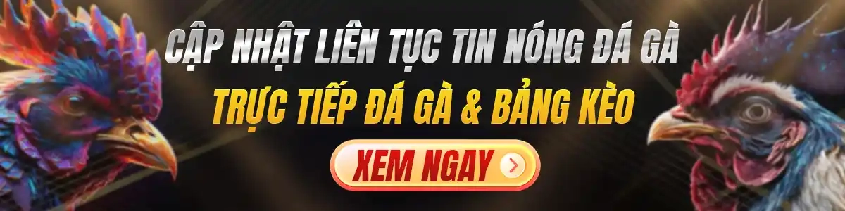 Banner tin tức 1nguon