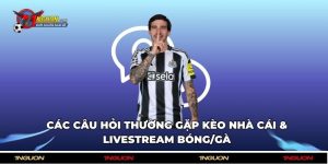 Các Câu Hỏi Thường Gặp Kèo Nhà Cái & Livestream Bóng/Gà