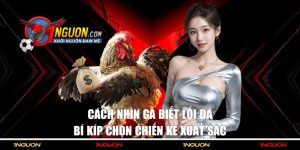 Sư Kê Hạnh Sina 2