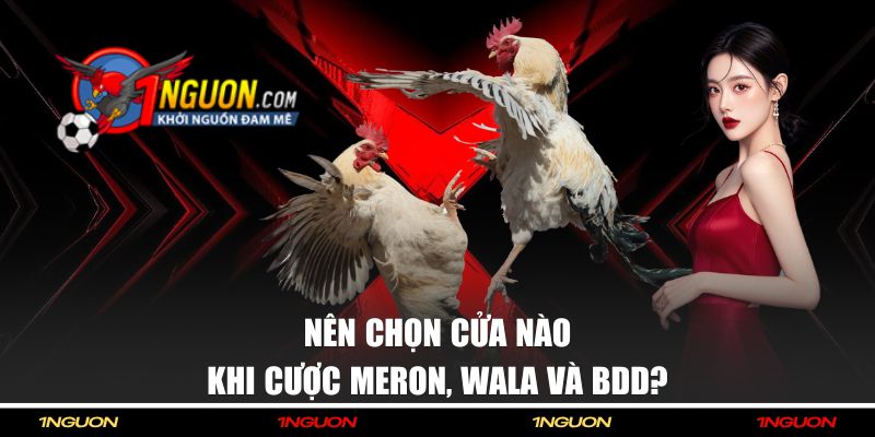Nên đặt cửa đá gà nào?