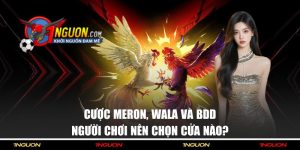 Sư Kê Hạnh Sina 3