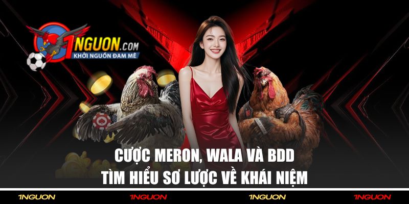 Cược Meron, Wala Và BDD là gì?