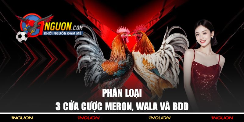 Phân loại 3 cửa Meron, Wala & BDD