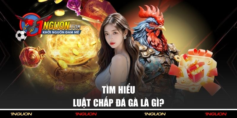 Giải Mã Luật Chấp Đá Gà Chi Tiết Dành Cho Người Mới 1 Đôi nét giới thiệu về luật chấp đá gà