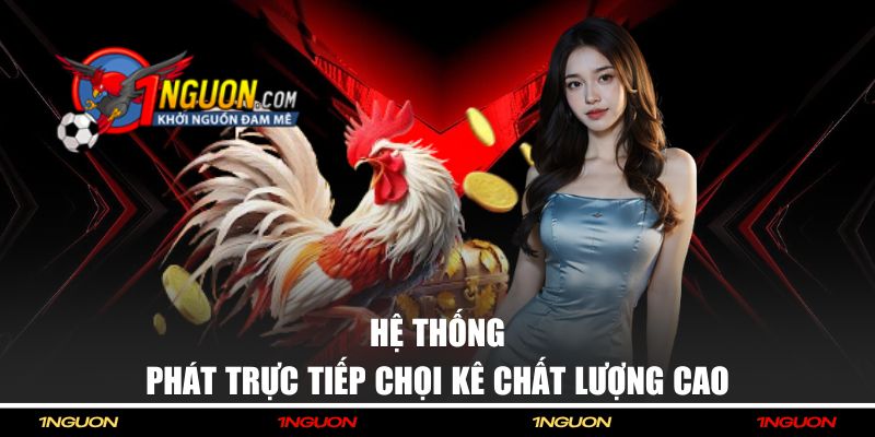 Livestream Đá Gà 1NGUON - Xem Trực Tiếp Các Giải Đấu Hấp Dẫn 2 Hệ thống phát trực tiếp chọi kê chất lượng cao