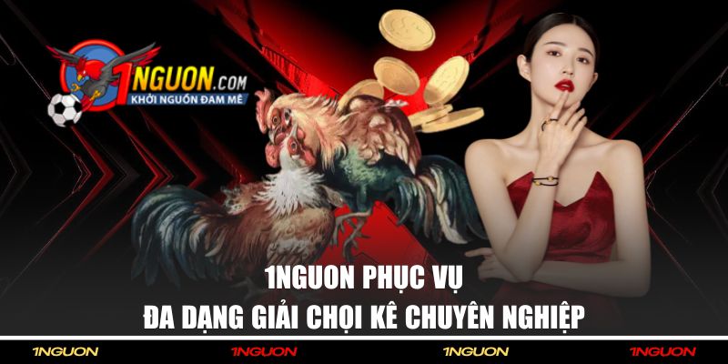 Livestream Đá Gà 1NGUON - Xem Trực Tiếp Các Giải Đấu Hấp Dẫn 3 1NGUON phục vụ đa dạng giải chọi kê chuyên nghiệp
