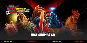 Sư Kê Hạnh Sina 4