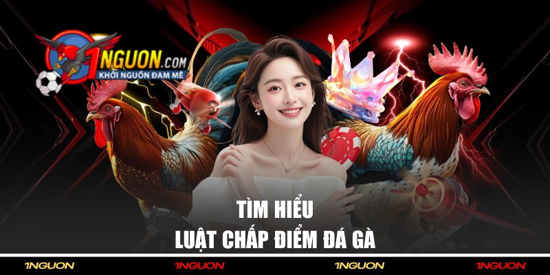Giải Mã Luật Chấp Đá Gà Chi Tiết Dành Cho Người Mới 3 Phân tích về quy tắc nhường điểm trong đá gà