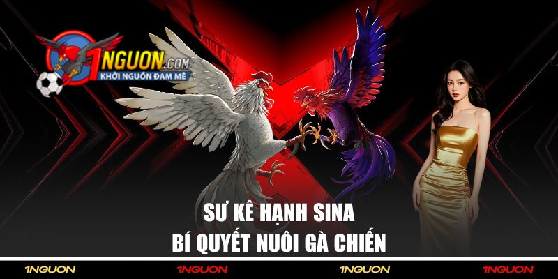 Bí kíp nuôi gà từ Hạnh Sina