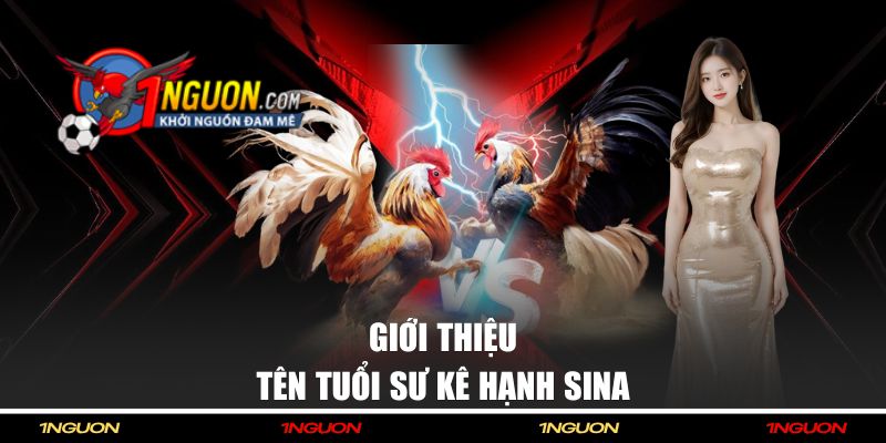 Giới thiệu tên tuổi sư kê Hạnh Sina